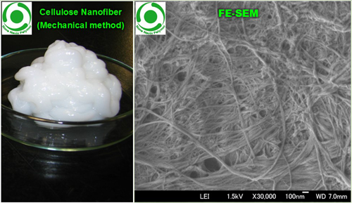 تهیه نانوبلورهای سلولزی از سلولز آلفا و بهینه سازی شرایط تولید آن